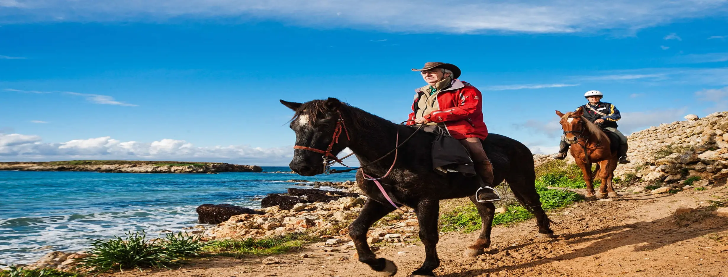 Image for Horse Trekking